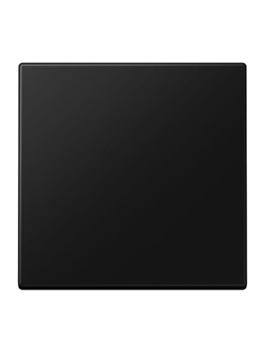 1 kl. apdaila LS990 JUNG LS990SWM (juoda, matinė)
