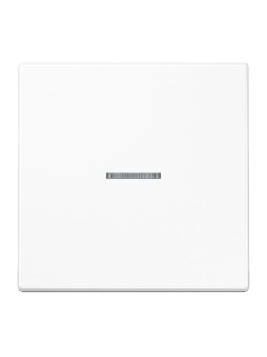 1 kl. apdaila su indikatoriumi LS990 JUNG LS990KO5WW (balta)