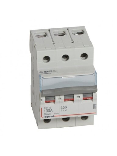 Automatinis jungiklis MCB RX3 Legrand 406469 (100A, 3P, 230V, 6kA)