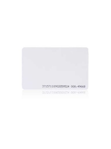 ISO kortelė RFID S301A