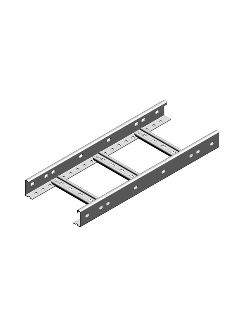 Kabelinės kopėčios DKD100H50/3N (1.2m, L-3m) BAKS