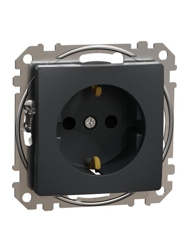Kištukinis lizdas su įžeminimu ir dangteliu Schneider Electric Sedna Design SDD214024 (antracitas, IP44)