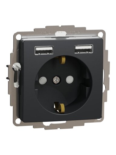 Kištukinis lizdas su įžeminimu Schneider Electric Sedna Design SDD114052 (antracitas, 2xUSB-A)