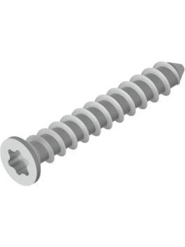 Sraigtas į betoną BAKS WDB7,5x52 (100vnt)