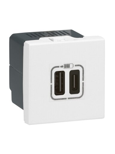 USB + USB C pakrovėjas Mosaic Legrand 077592 (5V, 3A, 15W)