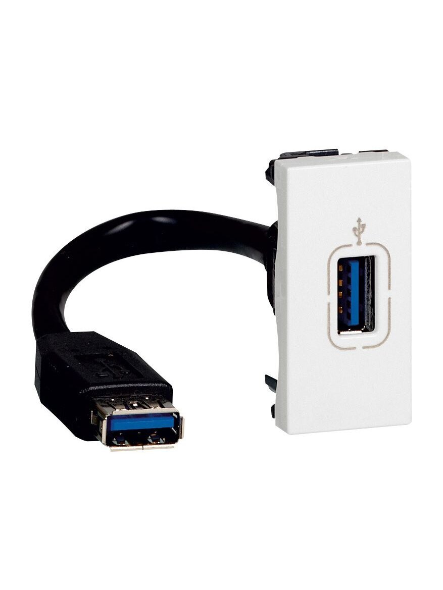 USB A duomenų lizdas Legrand Mosaic 078746