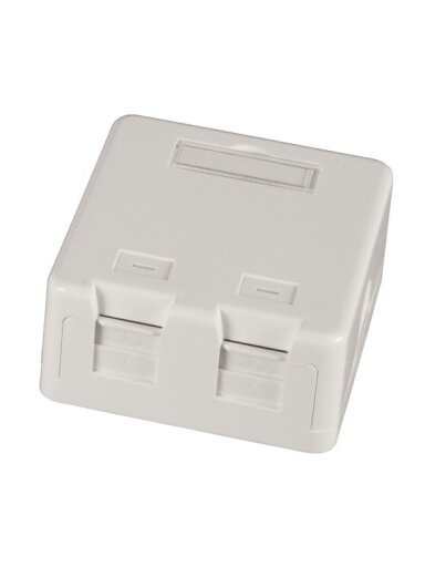 Virštinkinė dvivietė montavimo dėžutė EFB ET-25168 (2 x RJ45, balta)